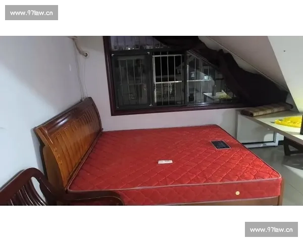 最新体彩足球结果开奖查询指南全面解析与实用技巧分享及便捷服务